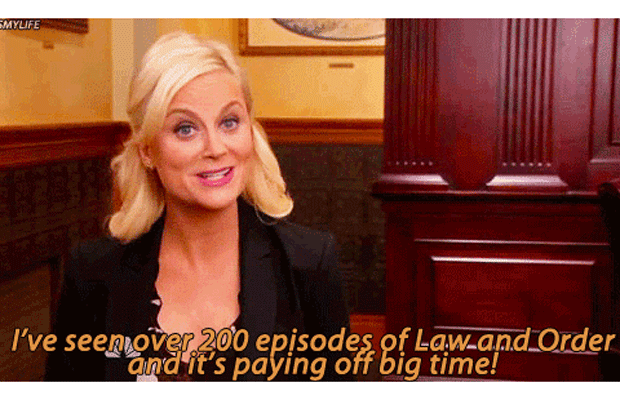 Leslie Knope from Parks and Rec saying "I've seen over 200 episodes of Law and Order and it's paying off big time!"