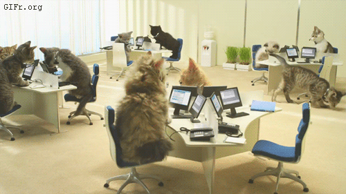 A collection of cats play in a cat-sized office-like room. Many of them sit at small desks that have tiny toy computers.
